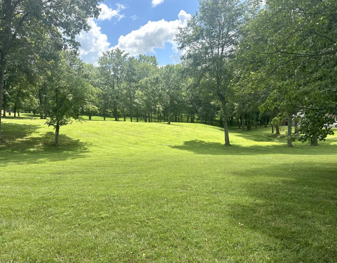 31 LEVEL ACRES w/HOME, BARN, 4 CAR GARAGE - photo 18