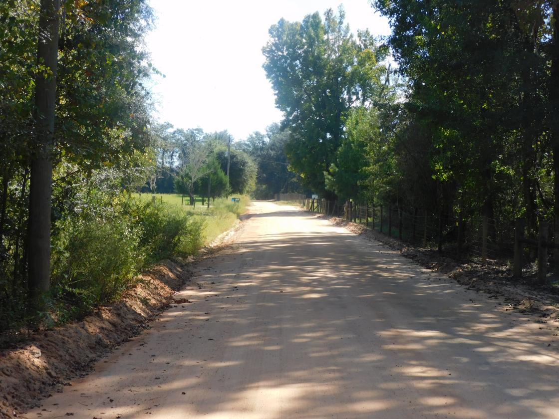 Croom Land - photo 3