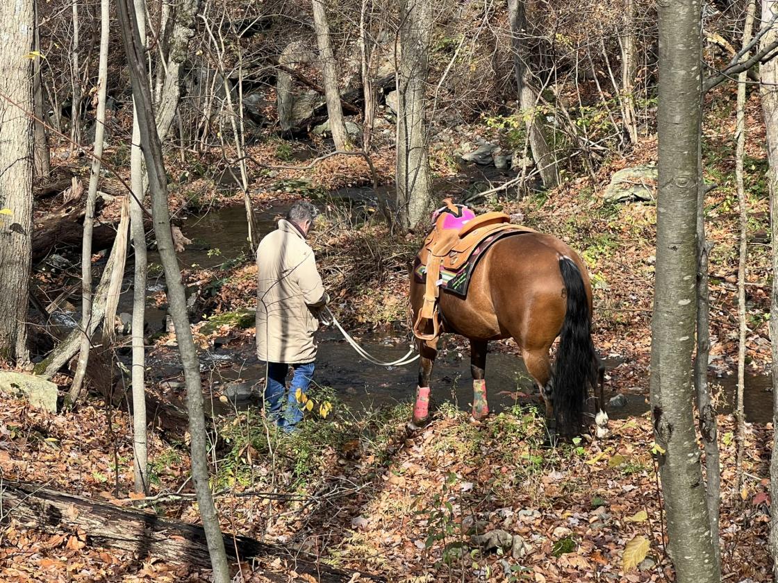 Private 5+ Acre Mountain-Top Equestrian Property - photo 26