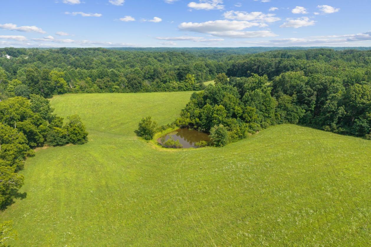 43+ Gorgeous Acres, Pond & Home in Leipers Fork - photo 12
