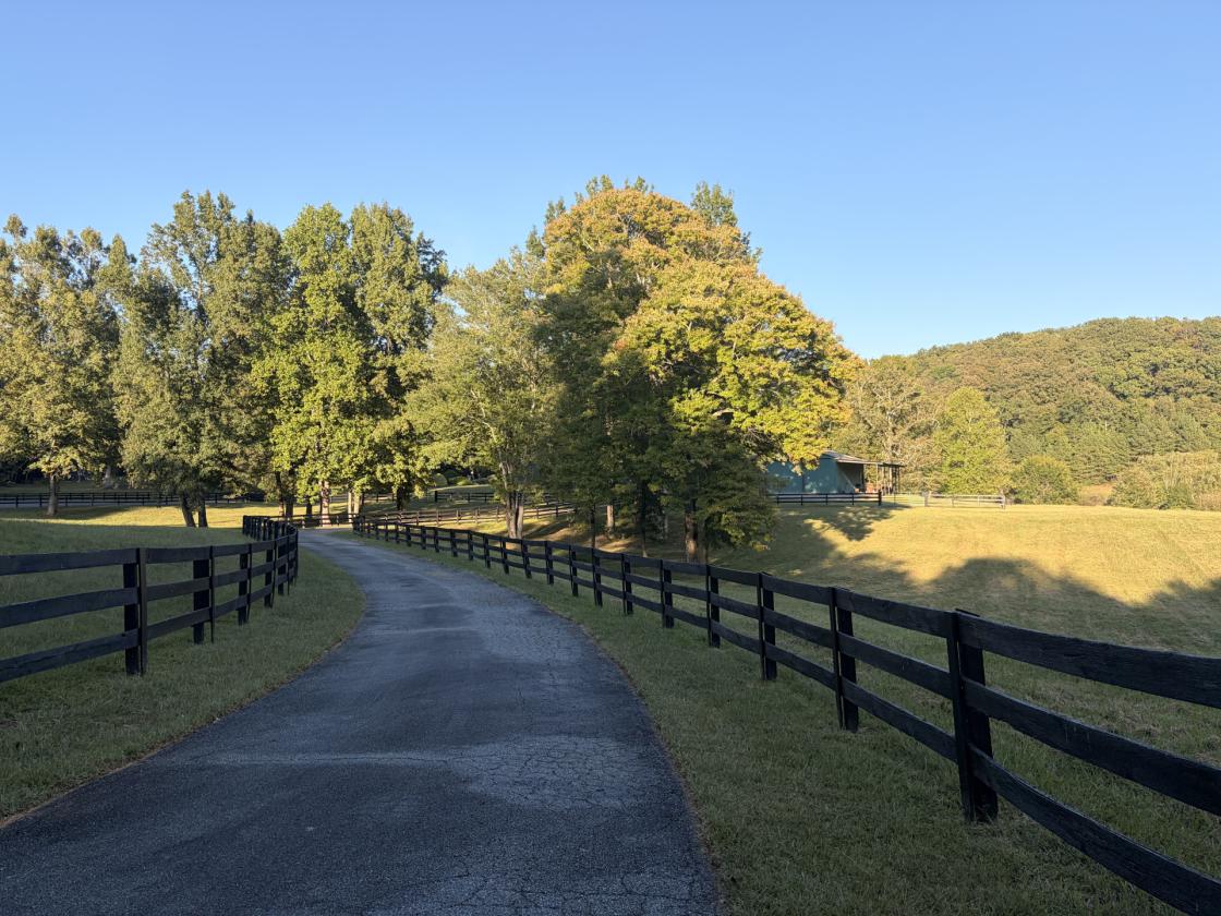 Equestrian Country Estate/ Private Lake/ 53 acres - photo 10