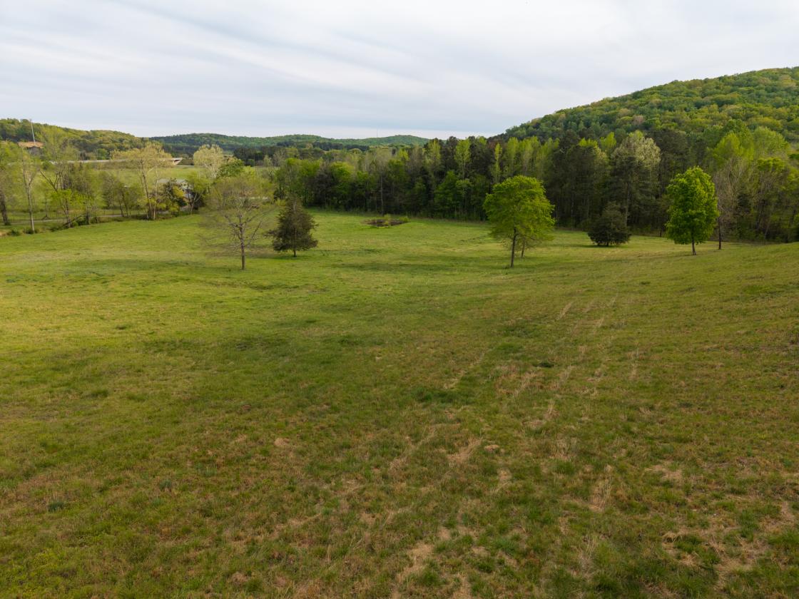 54 Acre Farm with 2 Houses - photo 17