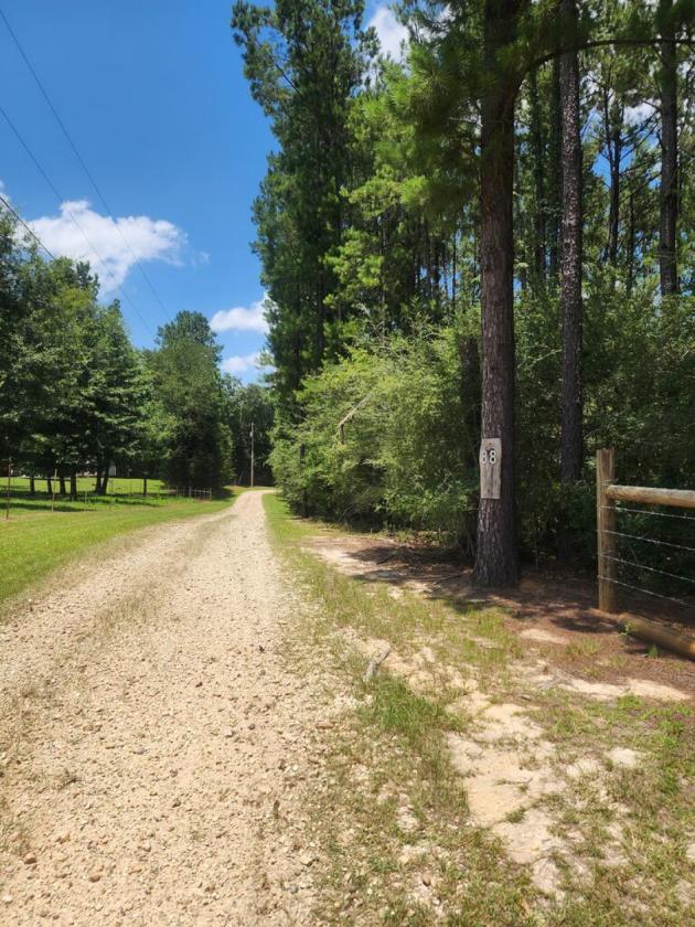 Stunning 22.6-Acre Horse Property - photo 13