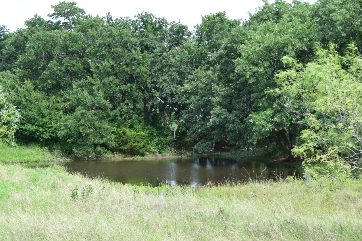 Motivated Seller- 17 acres Parker County - photo 2