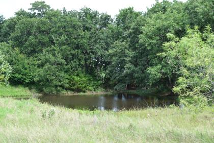 Property image.