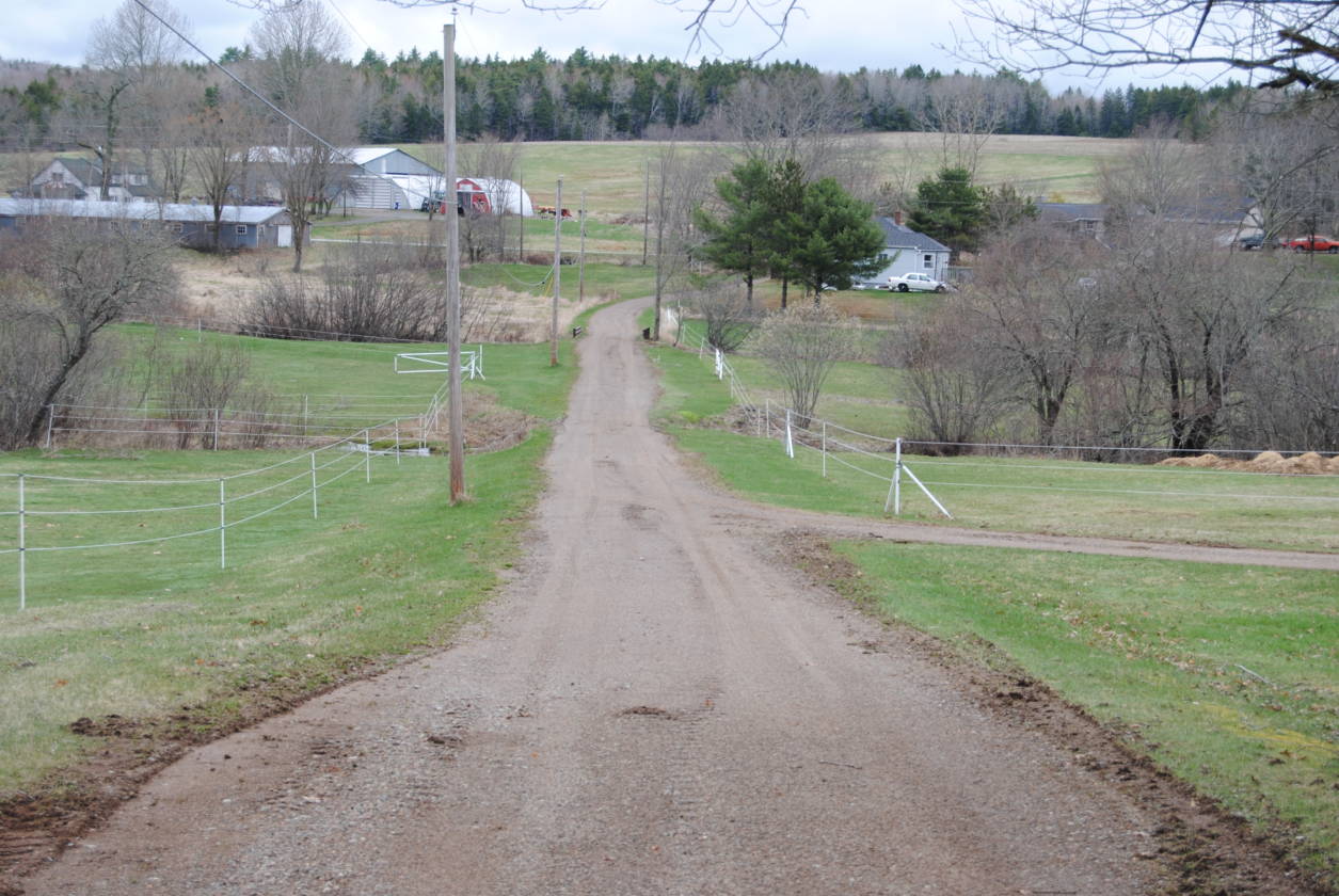 Nova Scotia Canada Horse Lover's Paradise Upper Nine Mile River