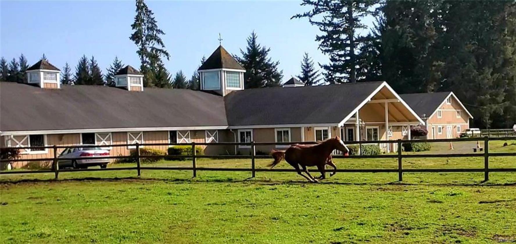 California Redwood Coast Income Horse Property - photo 5
