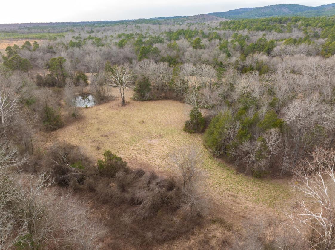 Home with 50 Acres & Ouachita Nat. Forest Access - photo 26