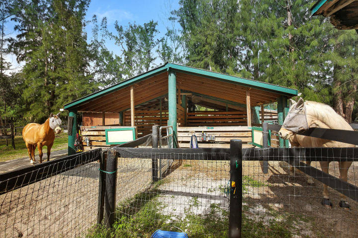 INCOME PRODUCING EQUESTRIAN RANCH IN BEAUTIFUL JUPITER ...