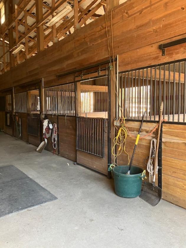 ONE OF A KIND HORSE FARM - photo 2