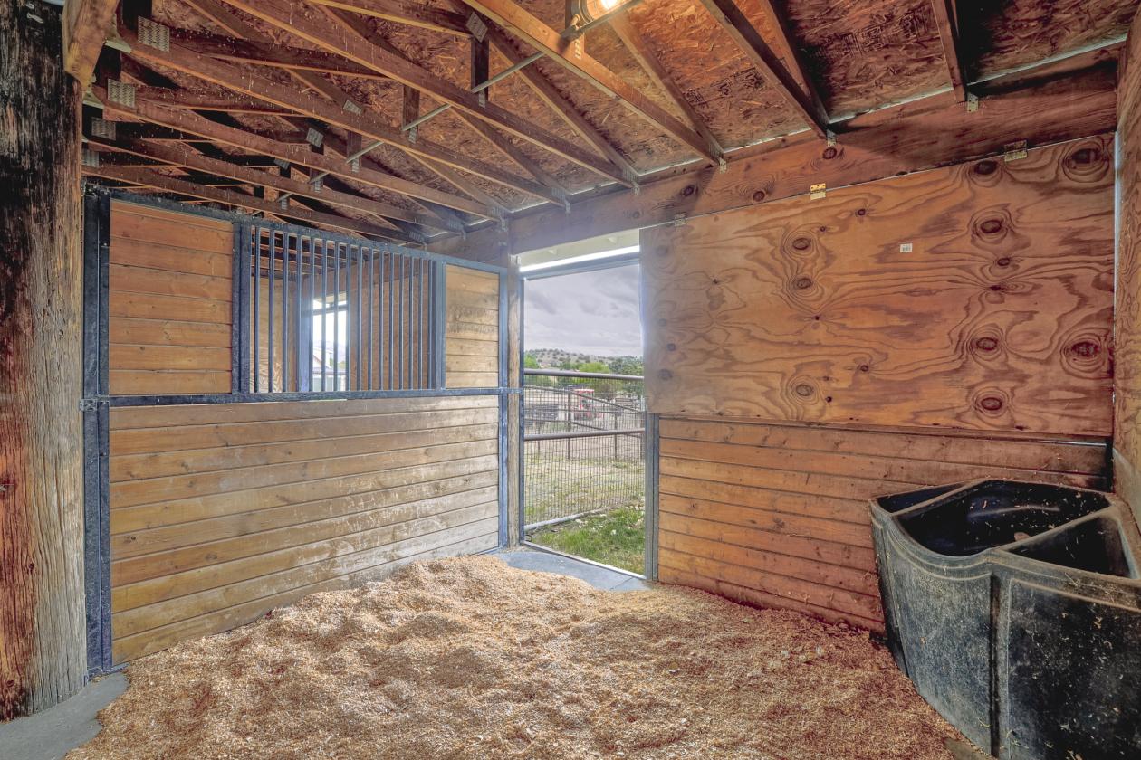Exquisite Horse Property, Trail access from home - photo 9