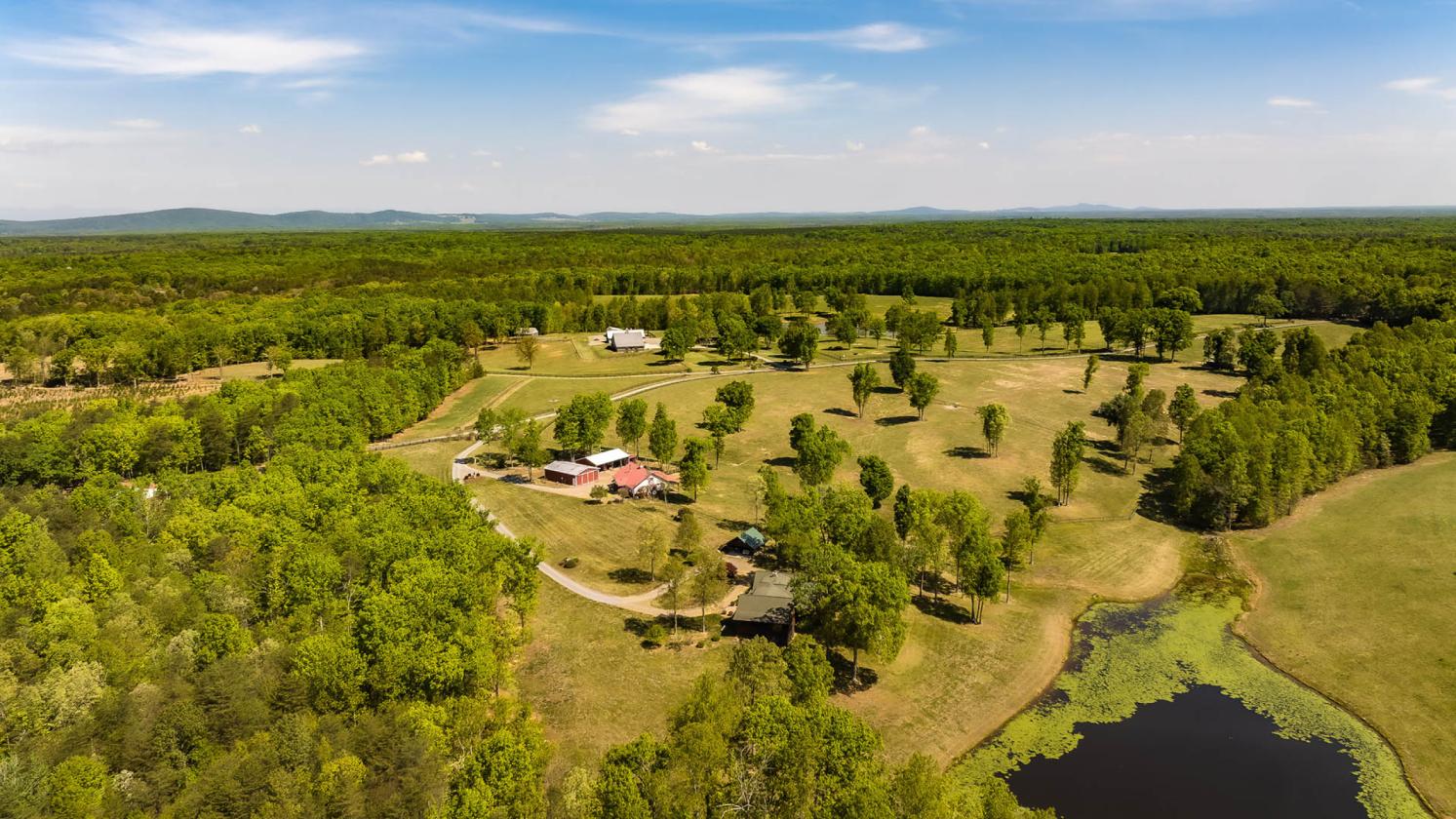 243-Acre Horse Farm w/ Log Home & Stable - photo 30
