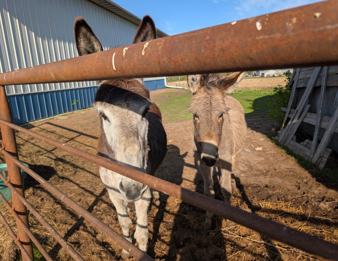 Move-In Ready Hobby Farm with Home - photo 11