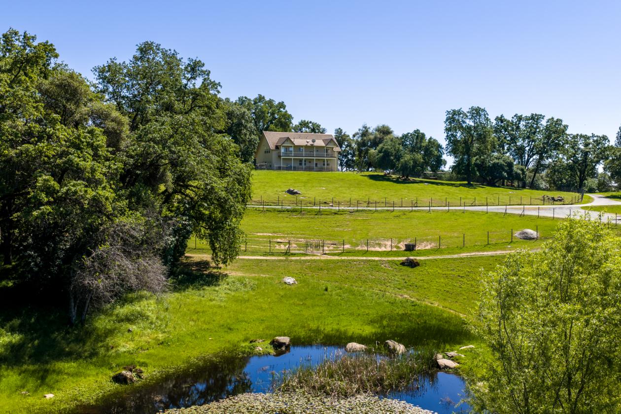 Luxury Equestrian Ranch w/16 stalls +covered arena - photo 19