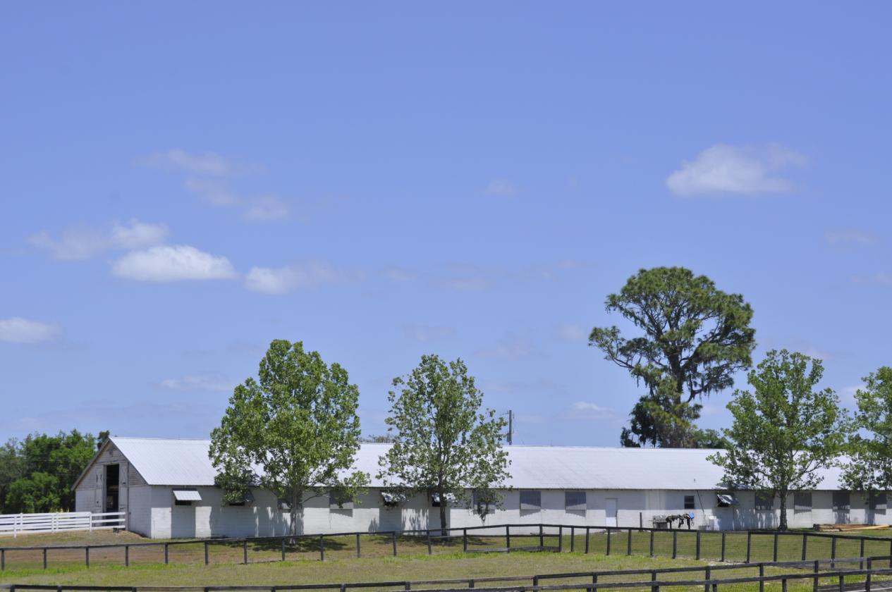 Tiffany Farm - 108 Acres - photo 5