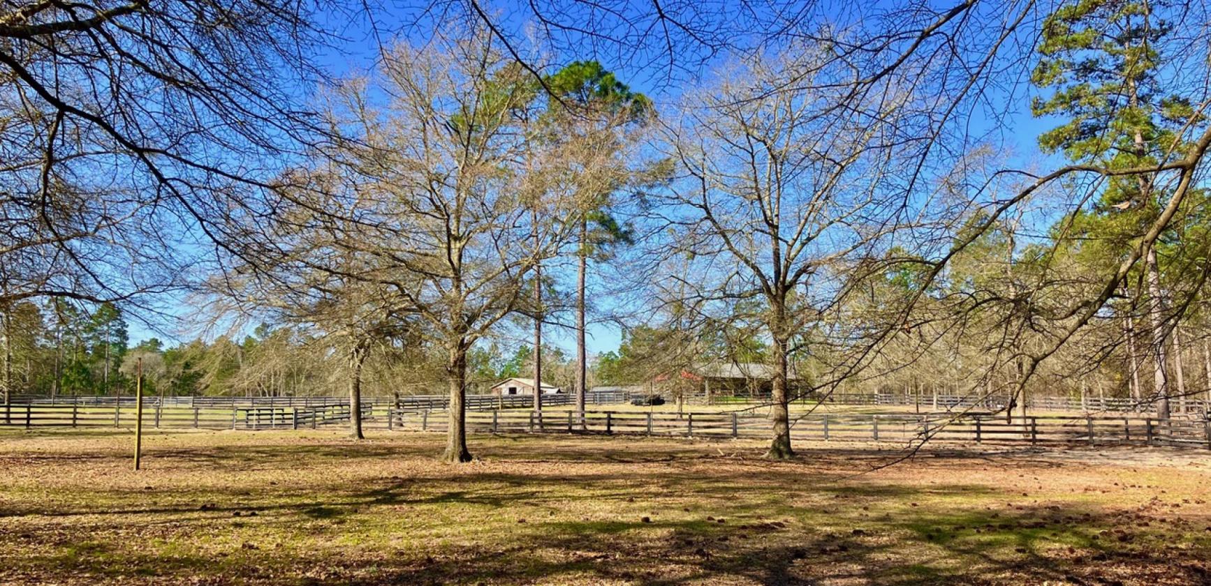 ONE OF A KIND HORSE FARM - photo 13