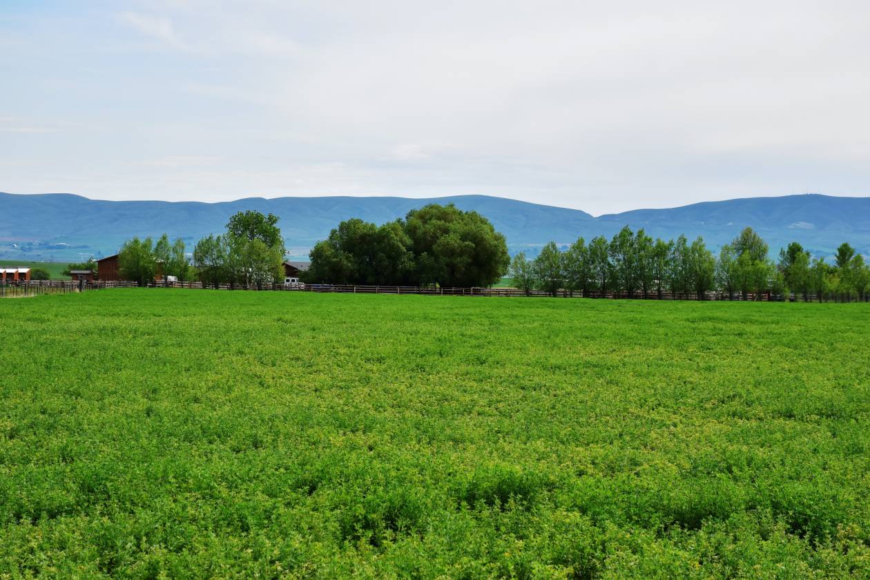 IMAGINE..... Your perfect working ranch! Ellensburg, Kittitas County