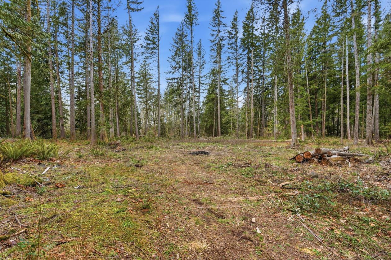 5 Acres on the Sandy River w/useable acreage! - photo 27