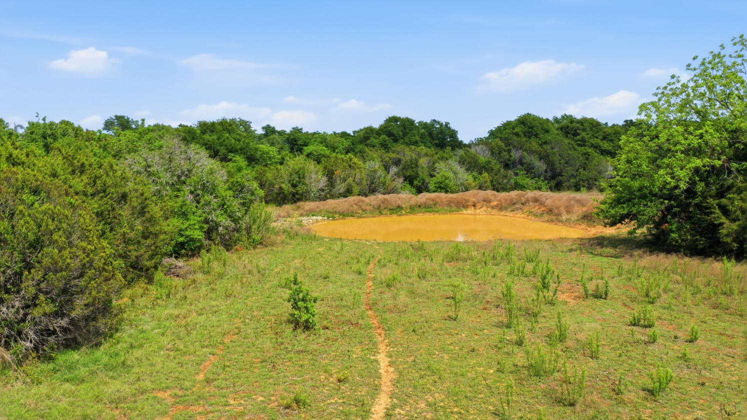 12-Acre Ag-Exempt Property - photo 15