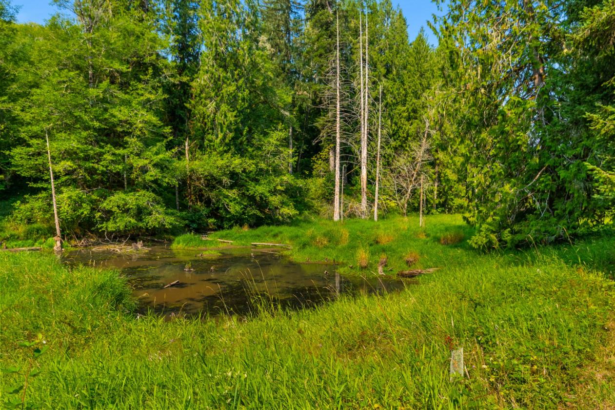 Pacific NW Secluded 75 Acre Homestead Ranch - photo 19