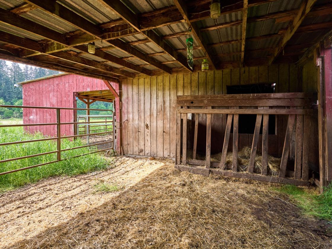 Horse Property in Aurora/Canby Area Deadend Road - photo 9