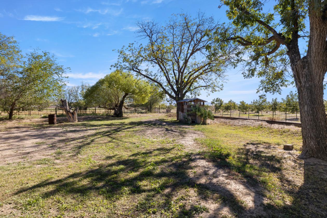 7 ACRE HORSE PROPERTY WITH THREE HOUSES - photo 13