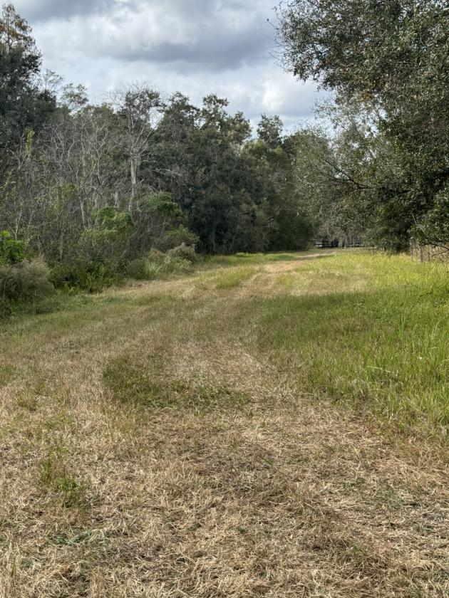 15 Acres Keystone - photo 7