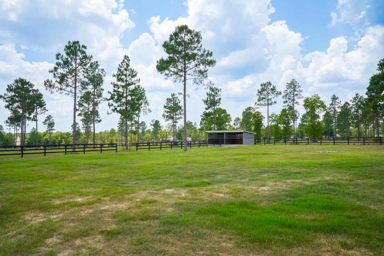 Kalista Manor South ~ Turn-Key Equestrian Estate - photo 28