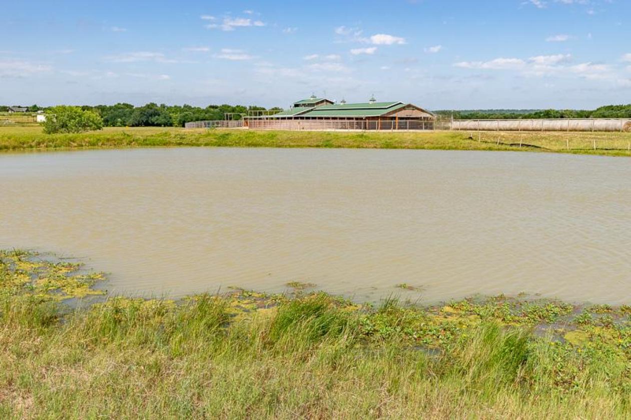 117.5 Acre Horse & Cattle & Rec. Property - photo 16