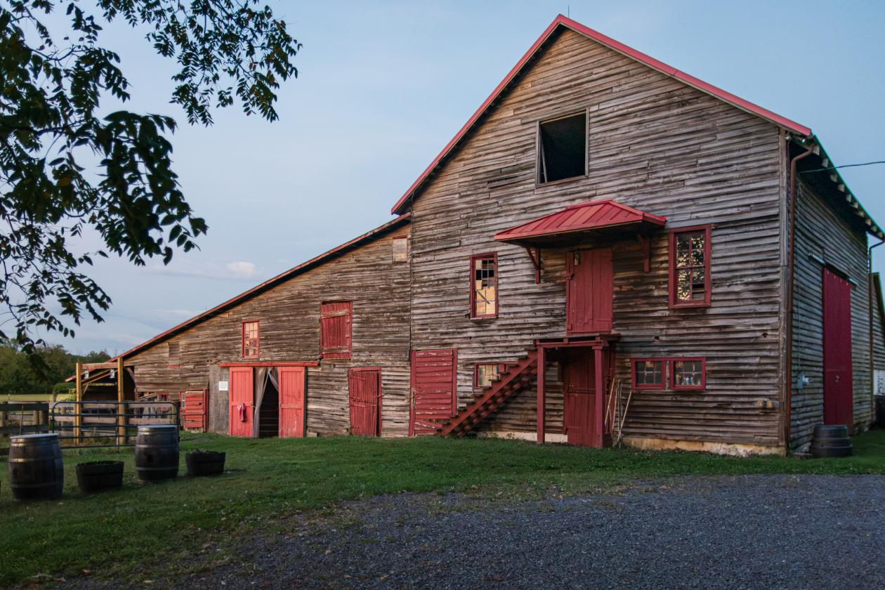 100 Acre Equestrian Estate with Infrastructure - photo 5
