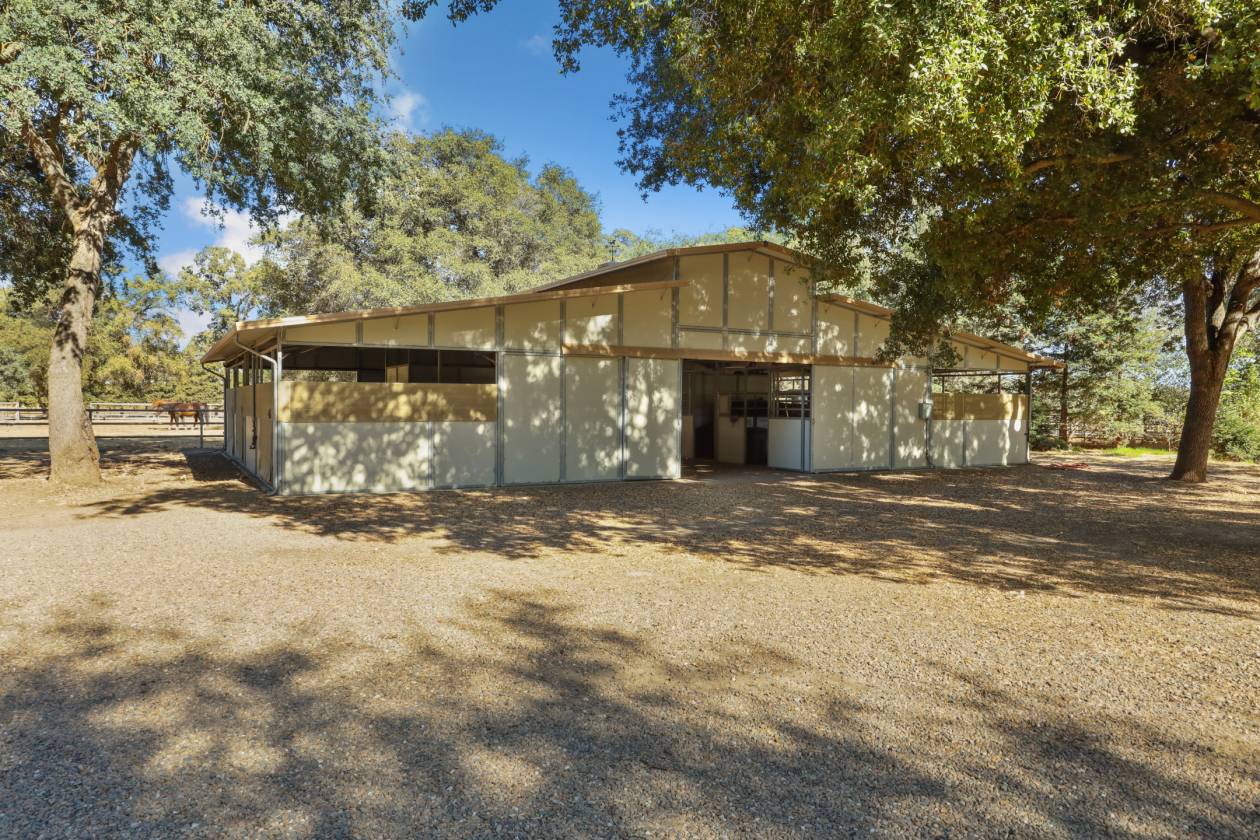 Estate with 7 pastures, 2 homes, lake, Vineyard - photo 15