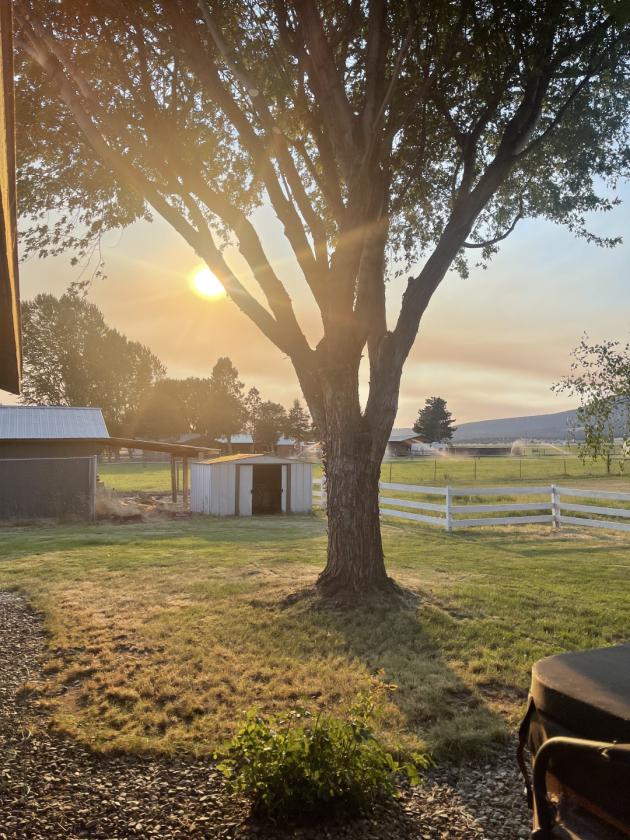 Prineville…..Irrigation??? “YES, I got you!!!” - photo 4