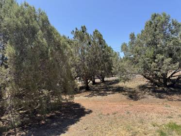 Property image.