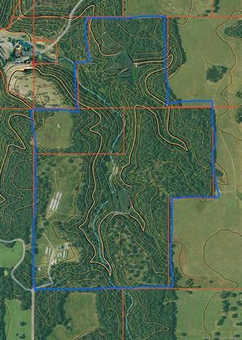 Beautiful 177 +/- acres - photo 20