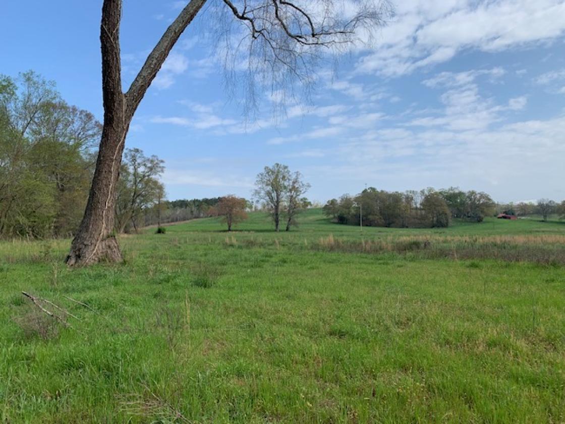 Madison County - Large Estate Farm - photo 21