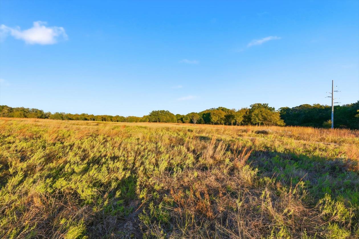 40 Acre Ranchette Near Bluejack Ranch in Aledo ISD - photo 21