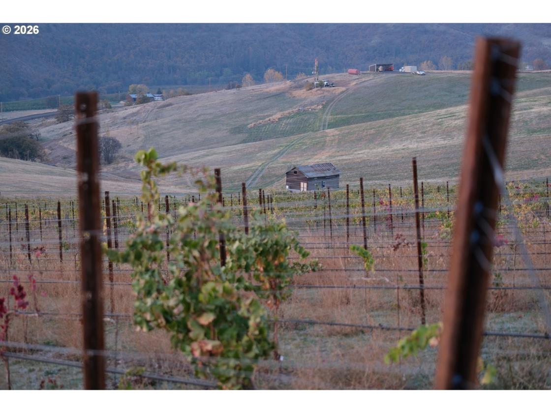 This Rare 288 Acre Legacy Property Awaits You! - photo 14