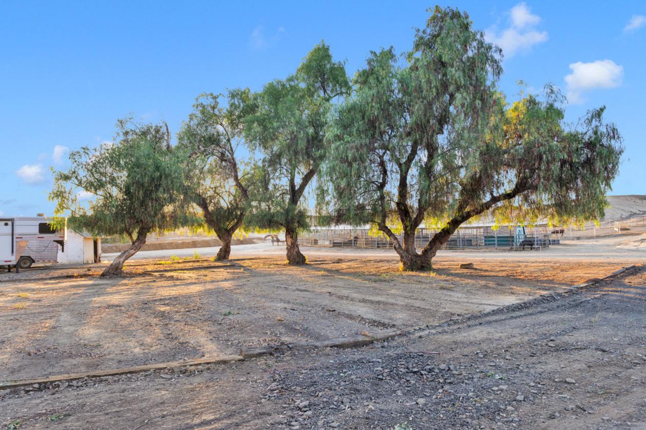 Equestrian Estate Near Wine Country - photo 23