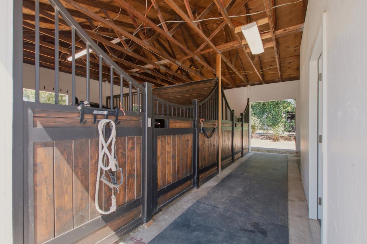 Rare Horse Property with Vineyard Views! - photo 22