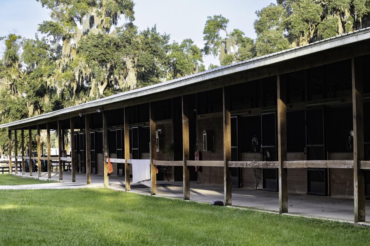 Kingwood Foxden - 4 miles to World Equestrian Center - photo 8