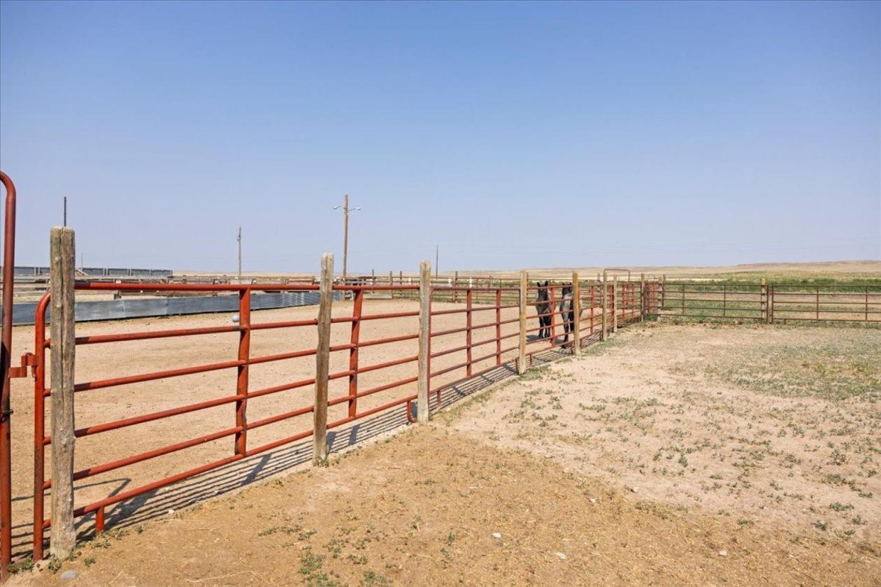 Meticulously-Maintained Horse Property - photo 17