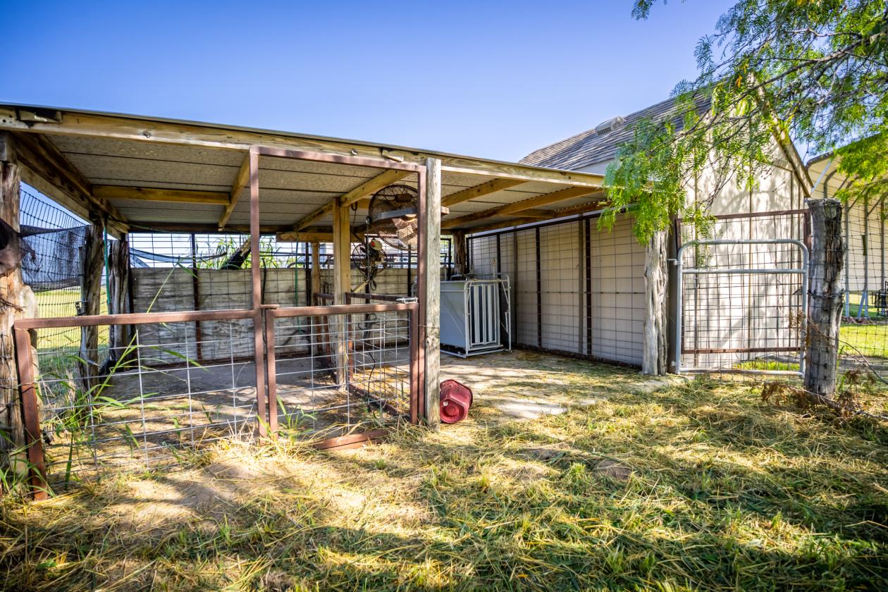 Turnkey 5-Acre Equine Estate - Massive $ Reduction - photo 30