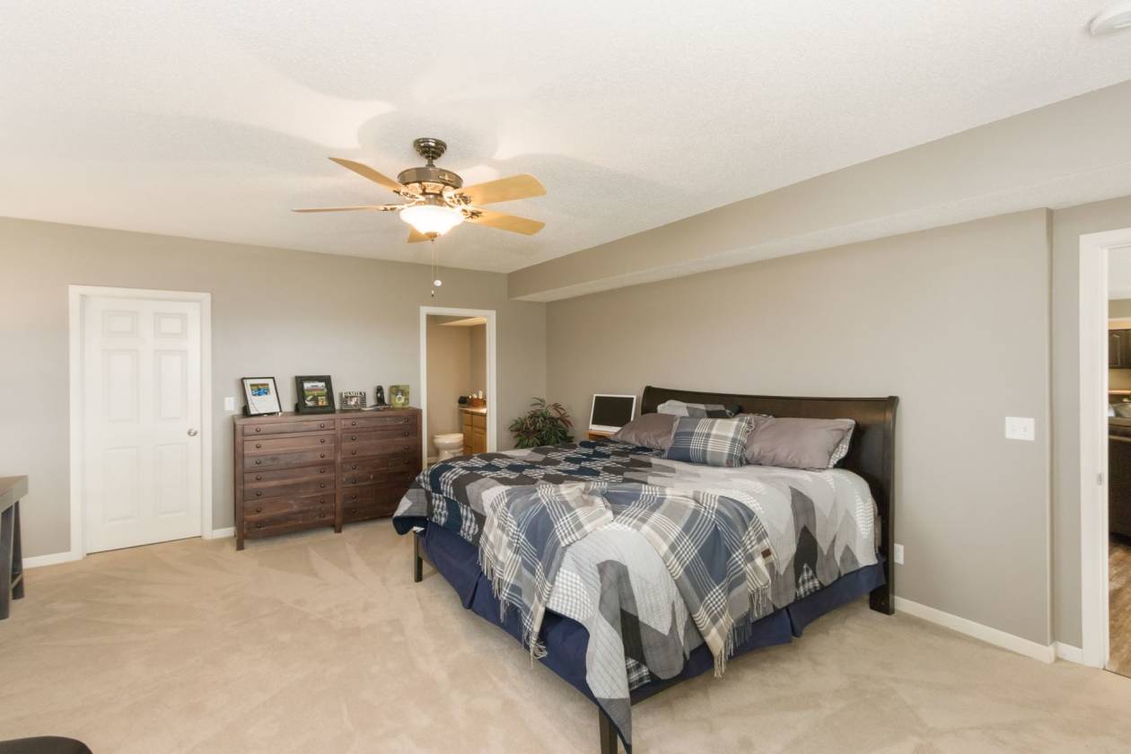 Horse farm for sale Solon, Johnson County, Iowa horse property