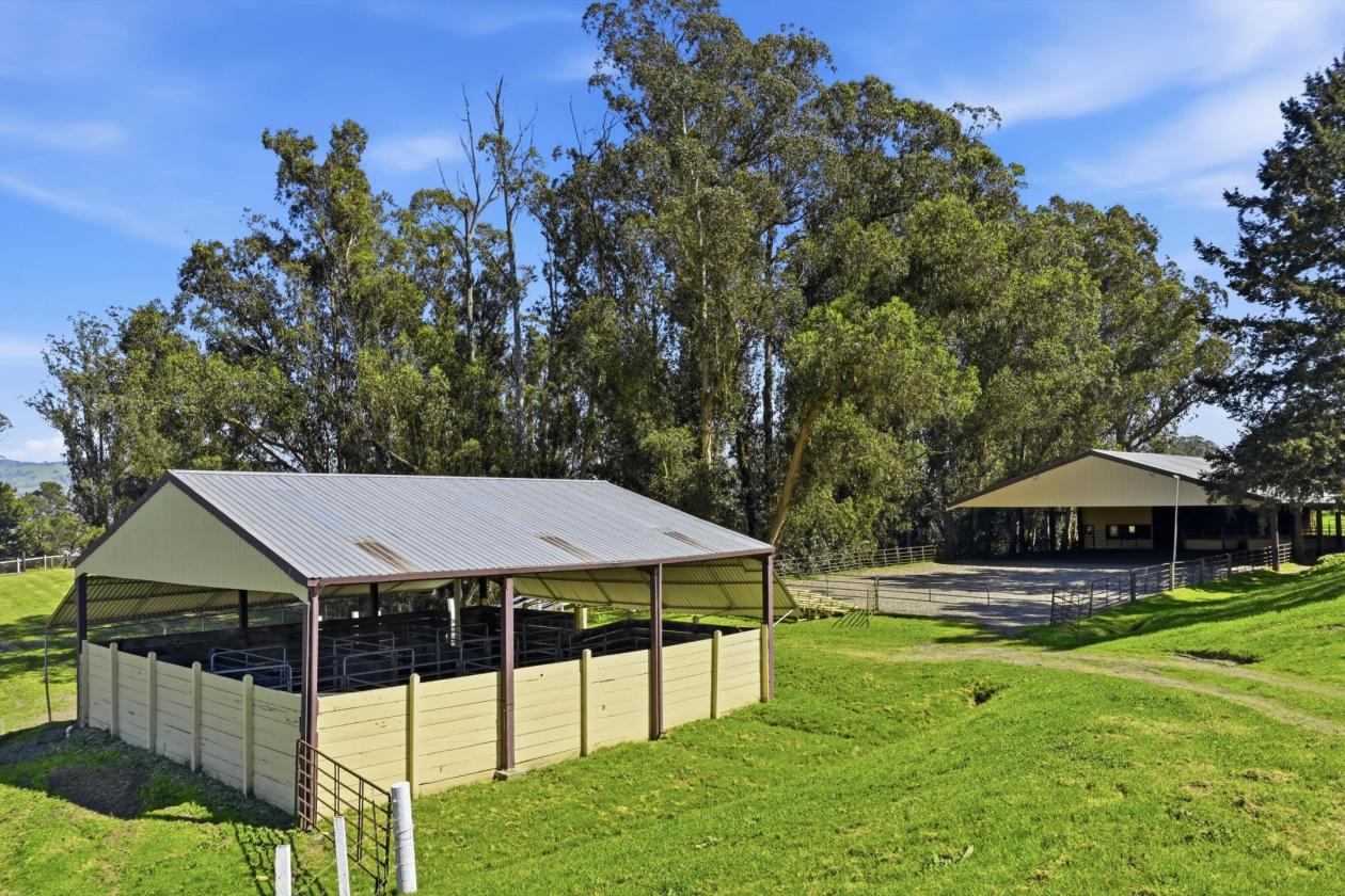 Sonoma County Equestrian Facility - photo 6