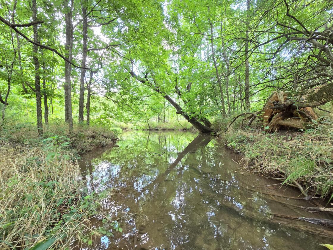 Legacy 56 ac. Estate- 7,800 sqft home, barn, creek - photo 16