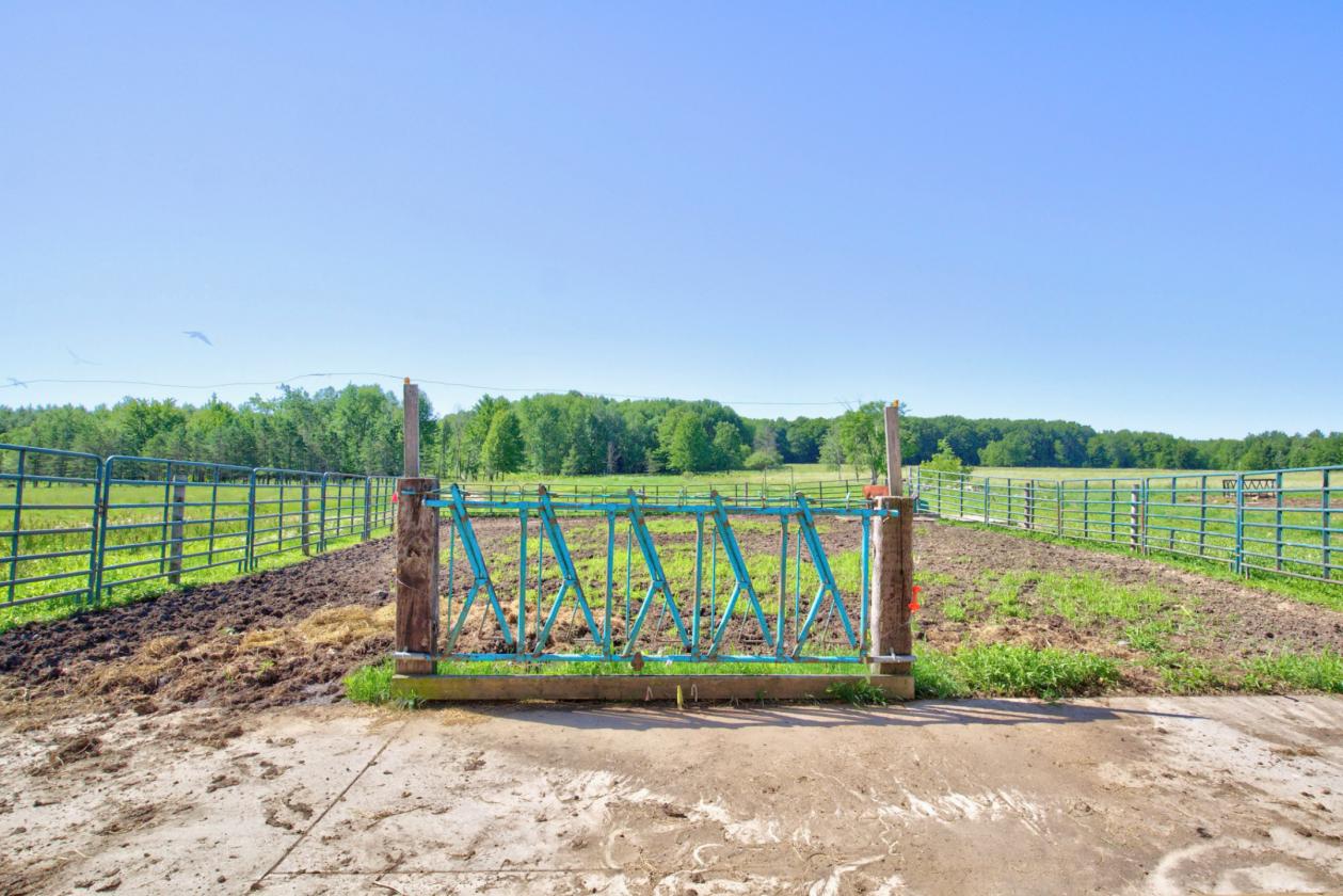 Central Wisconsin Dream! - photo 28