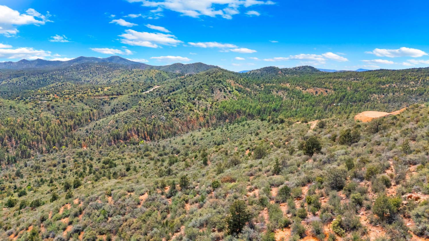 WHERE THE FOREST MEETS THE HORIZON - photo 9