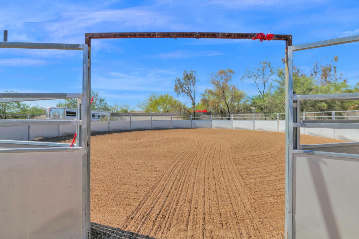 Equine Breeding, Training and Therapy Facility - photo 14