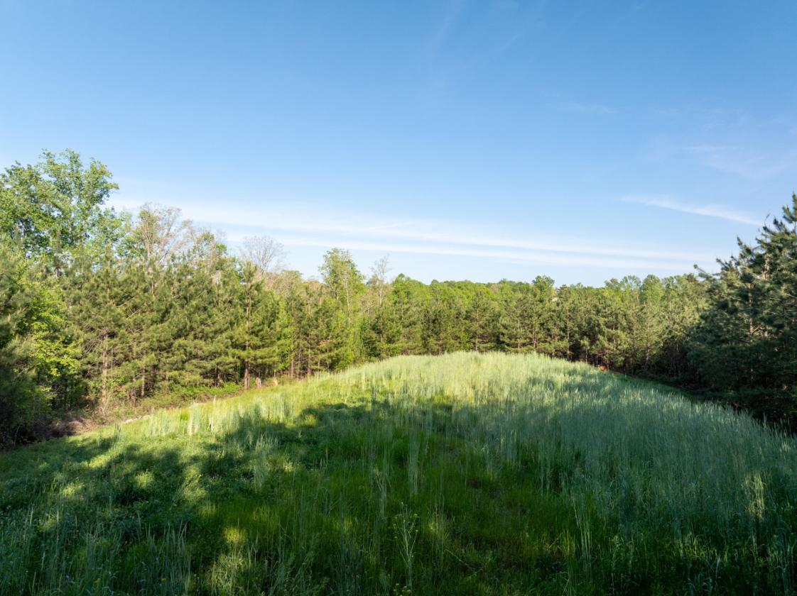 169 Acres, pastures, creeks, pond sites and trees - photo 21