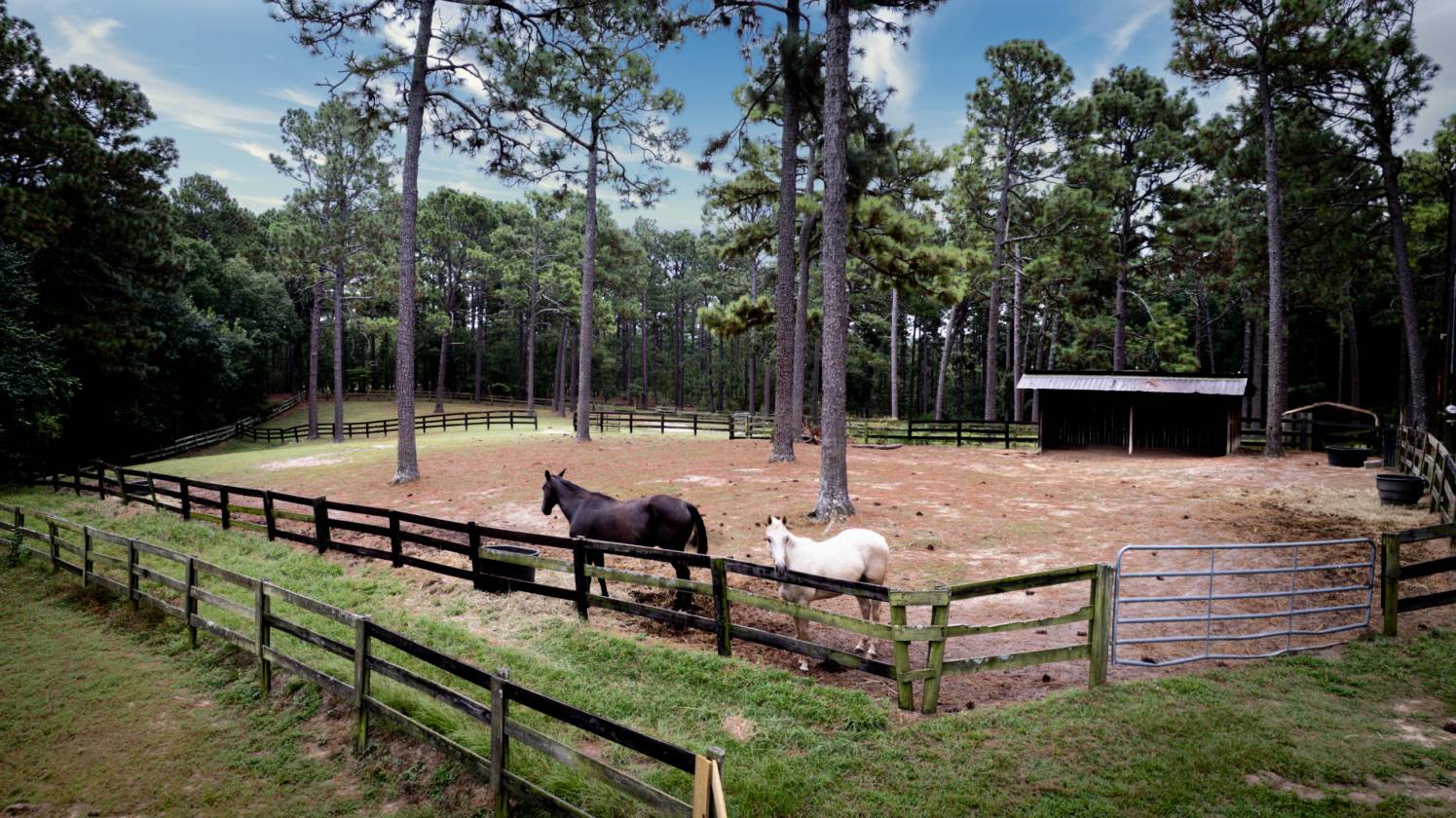 47+ Acres in the Heart of Horse Country - photo 11